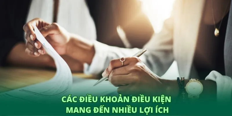 Các điều khoản điều kiện mang đến nhiều lợi ích