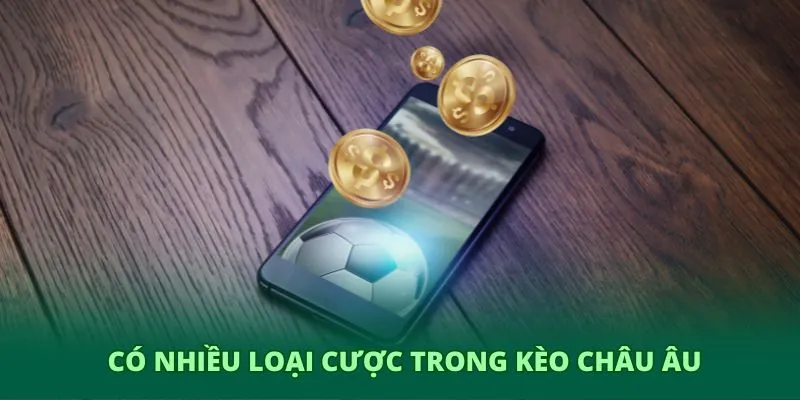 Kèo châu Âu GO8 – Phân tích bóng đá thông minh và chuẩn xác 3 Có nhiều loại cược trong kèo châu Âu